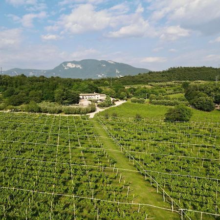 Serene Holiday And Wine Farm Афи Екстериор снимка