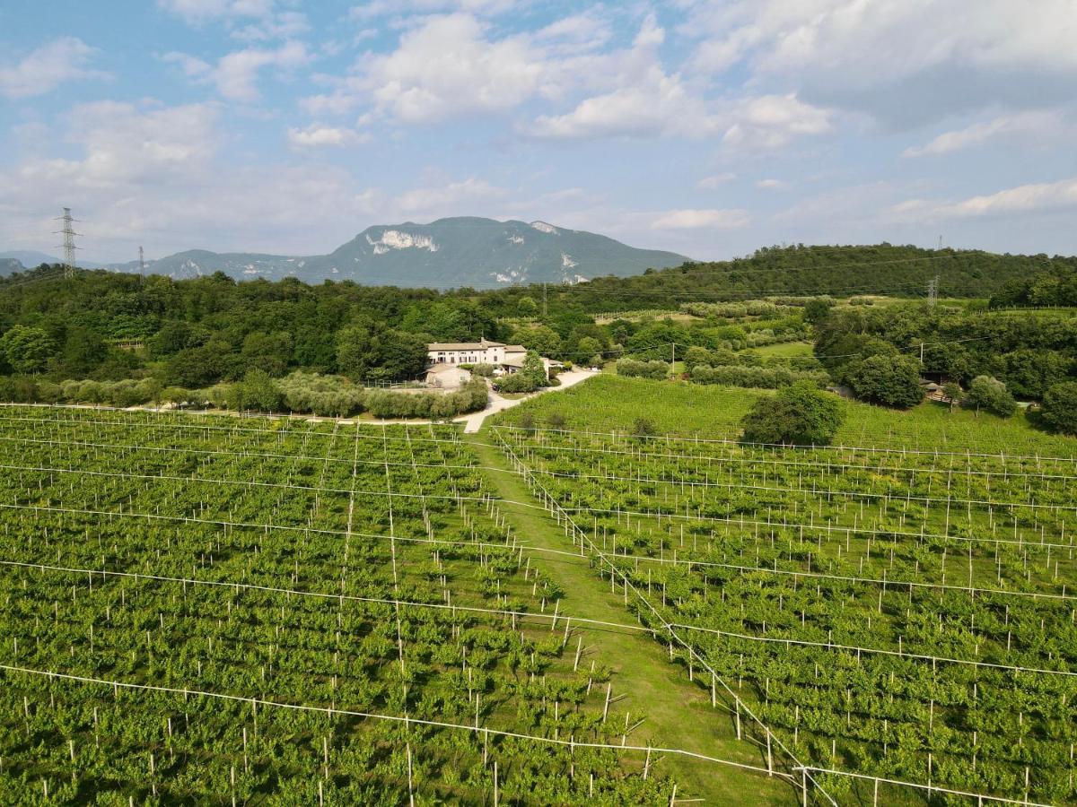 Serene Holiday And Wine Farm Афи Екстериор снимка