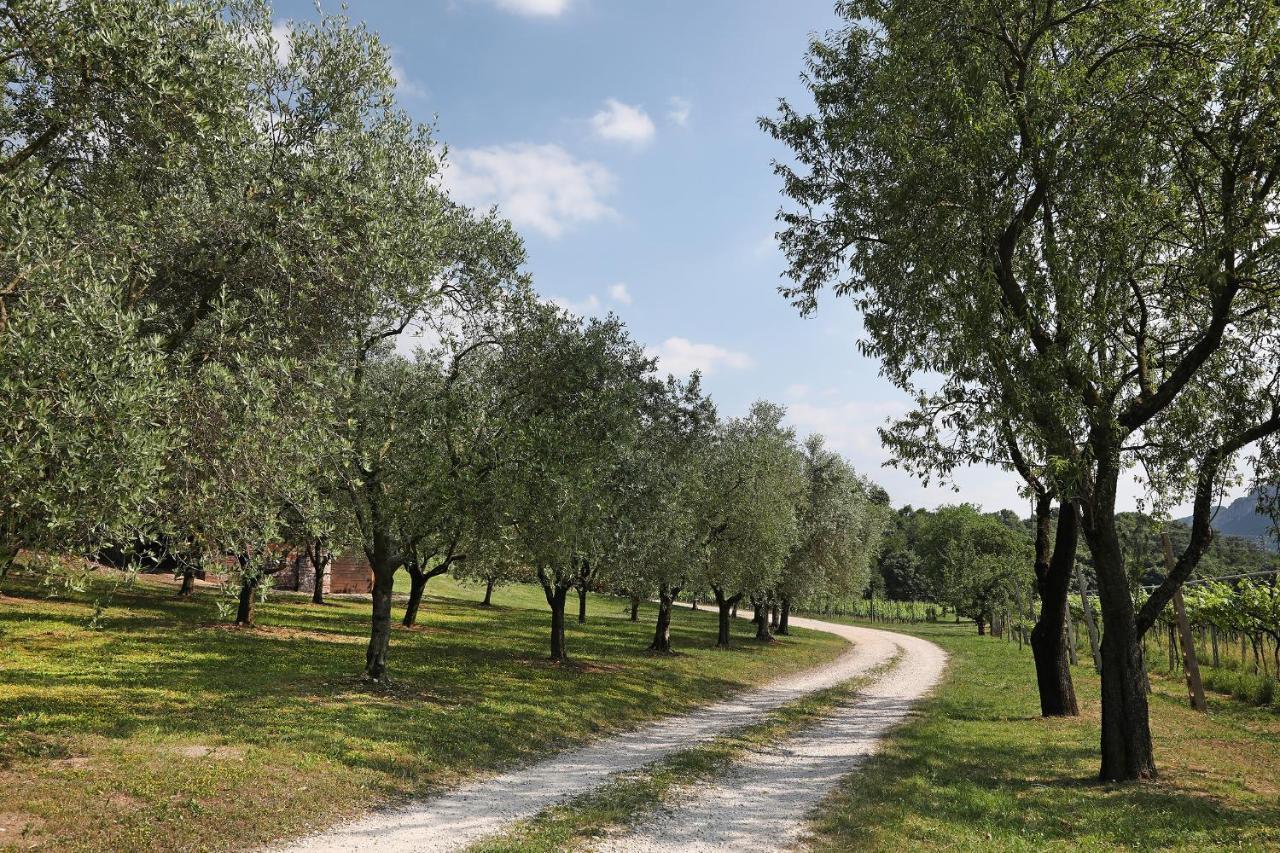 Serene Holiday And Wine Farm Афи Екстериор снимка