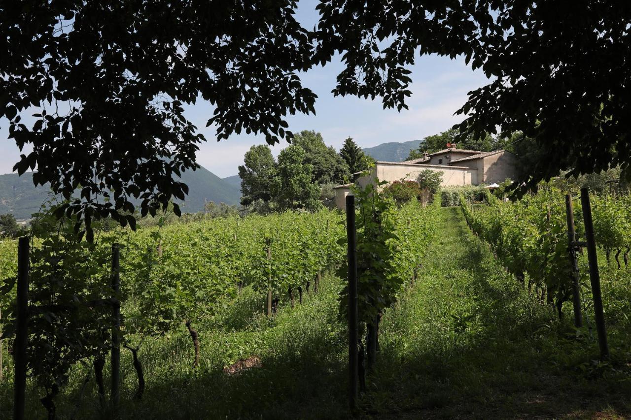 Serene Holiday And Wine Farm Афи Екстериор снимка